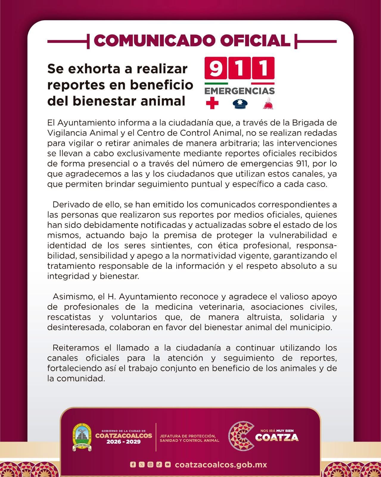 whatsapp image 2026 02 11 at 5.31.39 pm